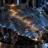 Магнитный порядок оказался устойчив даже без энергетической защиты