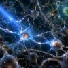 Нобель-2026: учёные научили свет включать и выключать клетки мозга