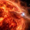 У Бетельгейзе обнаружили странные возмущения: её скрытый спутник меняе…